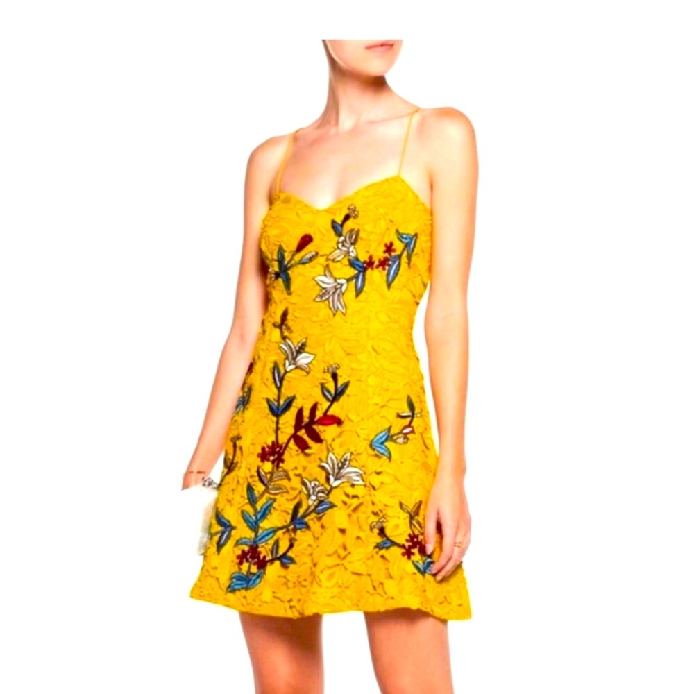 Sachin & Babi Covent Mini Dress 2